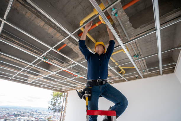 Best Plumbing Inspection Services  in Taos, MO